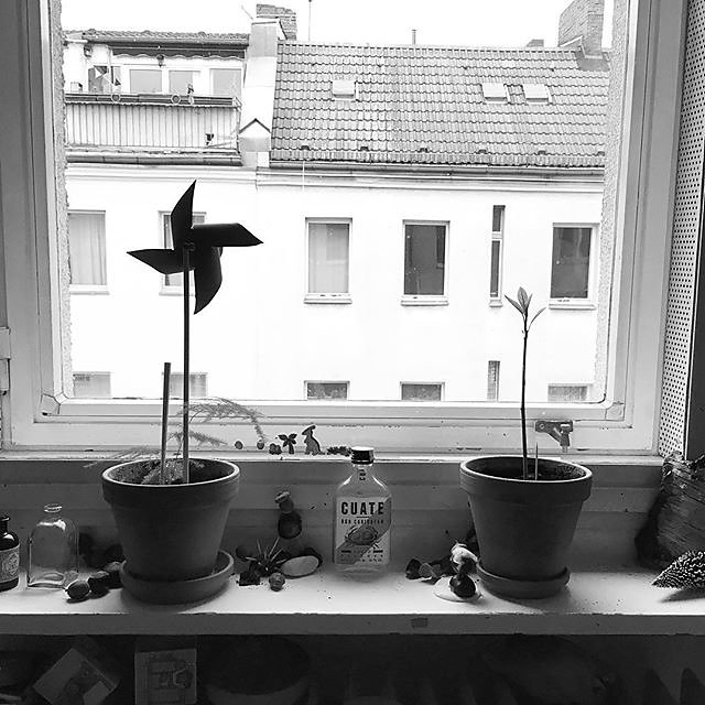 #windwheel #avocado #berlin #childroom #view